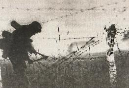 1943. Дивизия СС «Рейх» на Восточном фронте