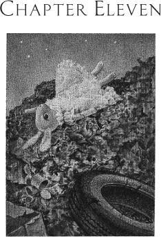 The Miraculous Journey of Edward Tulane