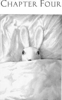 The Miraculous Journey of Edward Tulane