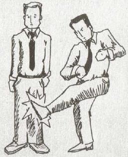 The Bro Code