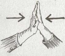 The Bro Code