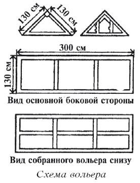 Разведение домашней птицы на ферме и приусадебном участке