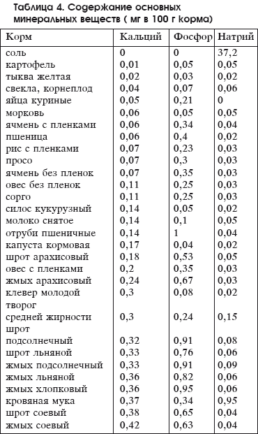 Разведение домашней птицы на ферме и приусадебном участке