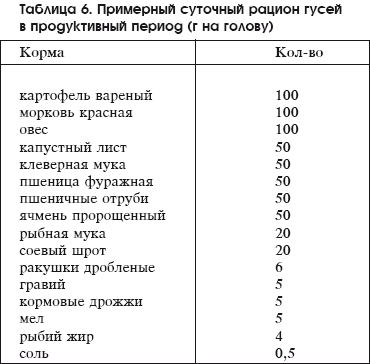 Разведение домашней птицы на ферме и приусадебном участке