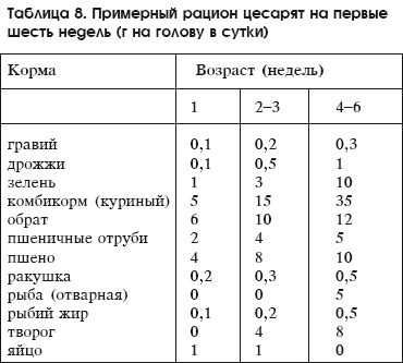 Разведение домашней птицы на ферме и приусадебном участке