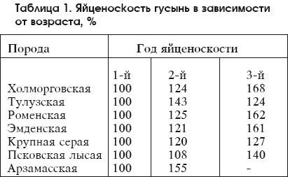 Разведение домашней птицы на ферме и приусадебном участке
