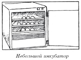 Разведение домашней птицы на ферме и приусадебном участке