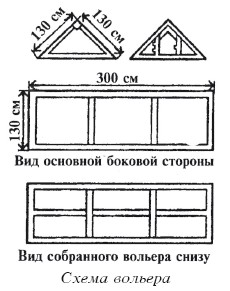 Разведение домашней птицы на ферме и приусадебном участке