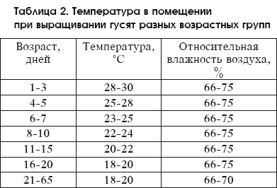 Разведение домашней птицы на ферме и приусадебном участке