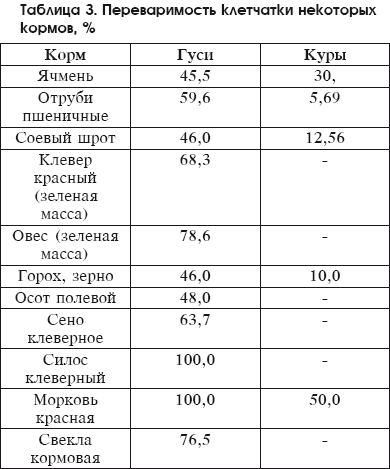 Разведение домашней птицы на ферме и приусадебном участке