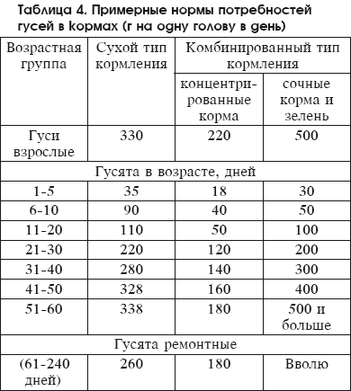 Разведение домашней птицы на ферме и приусадебном участке