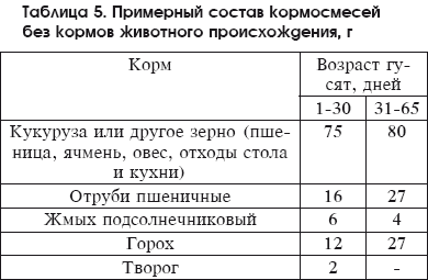 Разведение домашней птицы на ферме и приусадебном участке
