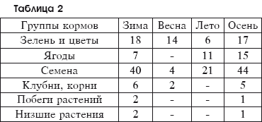 Разведение домашней птицы на ферме и приусадебном участке