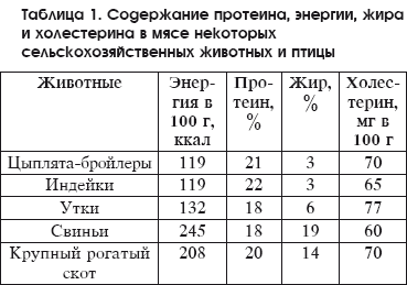 Разведение домашней птицы на ферме и приусадебном участке