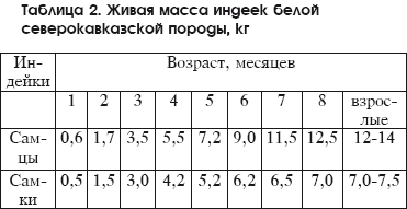 Разведение домашней птицы на ферме и приусадебном участке