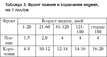Разведение домашней птицы на ферме и приусадебном участке