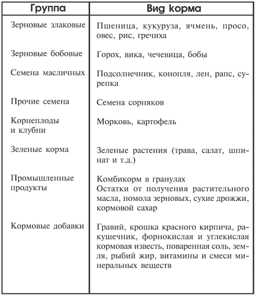 Голуби от А до Я