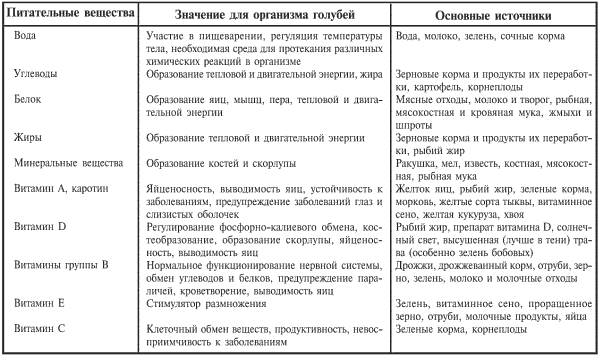 Голуби от А до Я