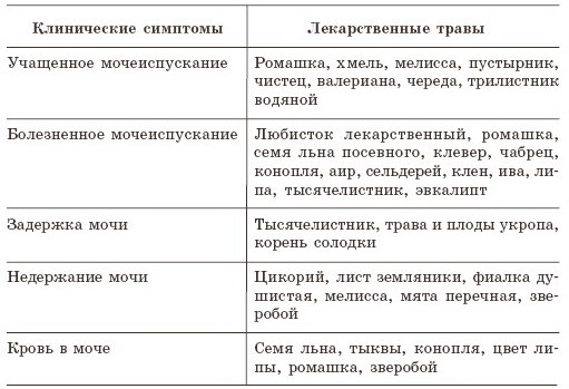 Болезни почек и мочевого пузыря